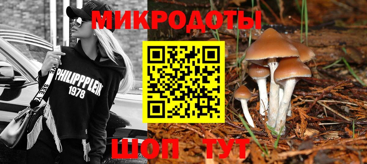 Галлюциногенные грибы GOLDEN TEACHER  как найти   Анапа  Галлюциногенные грибы Psilocybine cubensis  Вход с VPN 